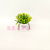 Artificial/Fake Flower Bonsai Plastic Basin Green Plant Ball Decoration Ornaments