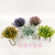 Artificial/Fake Flower Bonsai Plastic Basin Green Plant Ball Decoration Ornaments