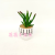Artificial/Fake Flower Bonsai Ceramic Basin Succulent Living Room Dining Table Wine Cabinet and Other Decorations