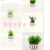 Artificial/Fake Flower Bonsai Ceramic Basin Succulent Living Room Dining Table Wine Cabinet and Other Decorations