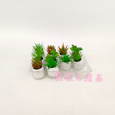 Artificial/Fake Flower Bonsai More than Cement Pots Types of Succulent Ornaments Kindergarten Company Coffee Shop, Etc.