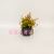 Artificial/Fake Flower Bonsai Plastic Bottle Green Plant Decorations Dining Table Wine Cabinet Kindergarten, Etc.