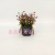 Artificial/Fake Flower Bonsai Plastic Bottle Green Plant Decorations Dining Table Wine Cabinet Kindergarten, Etc.