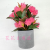 Artificial/Fake Flower Bonsai Plastic Basin Colorful Greenery Decoration Decorations