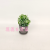 Artificial/Fake Flower Bonsai Ceramic Basin Green Plant Small Wild Fruit Decoration Ornaments