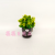Artificial/Fake Flower Bonsai Ceramic Basin Green Plant Small Wild Fruit Decoration Ornaments