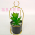 Artificial/Fake Flower Bonsai Iron Frame Iron Bucket More than Succulent Decoration Ornaments