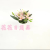 Artificial/Fake Flower Bonsai Plastic Basin Lily Dining Table Wine Cabinet Desk and Other Furnishings Ornaments