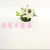 Artificial/Fake Flower Bonsai Plastic Basin Lily Dining Table Wine Cabinet Desk and Other Furnishings Ornaments