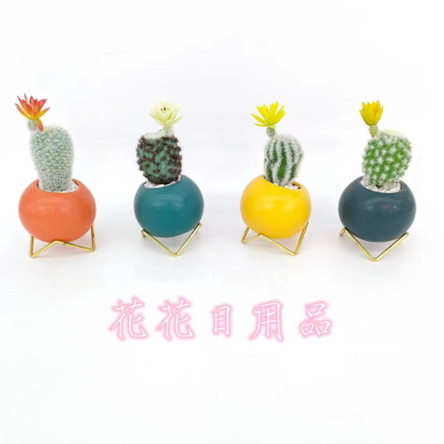Artificial/Fake Flower Bonsai Ceramic Basin Cactus Living Room Dining Table Cashier and Other Occasions Decorations