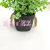 Artificial/Fake Flower Bonsai Plastic Basin Green Plant Eucalyptus Dining Table and Other Decorations
