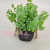 Artificial/Fake Flower Bonsai Plastic Basin Green Plant Eucalyptus Dining Table and Other Decorations
