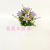 Artificial/Fake Flower Bonsai Plastic Basin Eucalyptus Lily Furnishings Ornaments