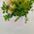 Artificial/Fake Flower Bonsai Plastic Basin Green Plant Phalaenopsis Furnishings Ornaments