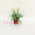 Artificial/Fake Flower Bonsai Plastic Basin Plastic Small Flower Decoration Ornaments