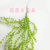 Artificial/Fake Flower Bonsai Single Wall Hanging Green Leaf Dining Room/Living Room Bar and Other Ornaments
