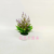 Artificial/Fake Flower Bonsai Mini Plastic Basin Plastic Flowers Occasion Decoration Ornaments
