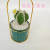 Artificial/Fake Flower Bonsai Iron Frame Iron Bucket Noble Multiple Cactus Ornaments