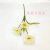 Artificial/Fake Flower Bonsai Single Three-Head Meganium Vase Wall Hanging and Other Ornaments
