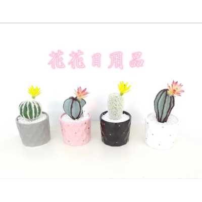 Artificial/Fake Flower Bonsai Ceramic Basin Multiple Cactus Decoration Ornaments
