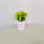Artificial/Fake Flower Bonsai Head Portrait Cement Pots Plastic Green Plant Mini Ball Decorations