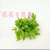 Artificial/Fake Flower Bonsai Single Green Plant Leaves Wall Hanging Vase Decorations