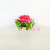 Artificial/Fake Flower Bonsai Plastic Basin Plastic Flowers Decorative Ornaments