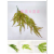 Artificial/Fake Flower Bonsai Single Green Plant Leaves Wall Hanging Restaurant and Cafe School and Other Decorations