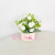 Artificial/Fake Flower Bonsai Plastic Basin Small Carnation Decoration Ornaments