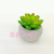 Artificial/Fake Flower Bonsai Mini Cement Pots Multi-Meat Furnishings Ornaments
