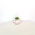 Artificial/Fake Flower Bonsai Ceramic Basin Multi-Meat Furnishings Ornaments