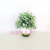 Artificial/Fake Flower Bonsai Woven Pots Plastic Green Plant Stage Wine Cabinet Desk and Other Ornaments