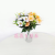 Artificial/Fake Flower Bonsai Single 5 Forks 10 Heads Apple like Flower Flower Pot Furnishings Ornaments