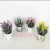 Artificial/Fake Flower Bonsai Ceramic Basin Lavender Decoration Ornaments Living Room Dining Room Bar Counter, Etc.