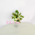 Artificial/Fake Flower Bonsai Glass Bottle Mini Small Bud Furnishings Ornaments