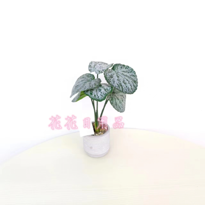 Artificial/Fake Flower Bonsai Cement Pots Green Plant Color Printing Leaf Office Wine Cabinet Stage Decorations