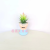 Artificial/Fake Flower Bonsai Cartoon Cement Pots More than Succulent Decoration Ornaments