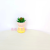 Artificial/Fake Flower Bonsai Cartoon Cement Pots More than Succulent Decoration Ornaments
