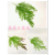 Artificial/Fake Flower Bonsai Single Green Plant Leaves Wall Hanging Decorations Restaurant Hotel, Etc.