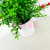 Artificial/Fake Flower Bonsai Plastic Basin Plastic Small Flower Stage Living Room and Hotel Hall and Other Decorations