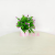 Artificial/Fake Flower Bonsai Plastic Basin Plastic Small Flower Stage Living Room and Hotel Hall and Other Decorations