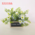 Artificial/Fake Flower Bonsai New Wooden Box Small Wildflower Decorations Restaurant Hotel Fence, Etc.