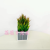Artificial/Fake Flower Bonsai Wood Box Green Plant Grass Decoration Ornaments