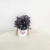 Artificial/Fake Flower Bonsai Plastic Basin Green Plant Grass Decoration Ornaments Dining Table Balcony Bedroom