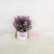 Artificial/Fake Flower Bonsai Plastic Basin Green Plant Grass Decoration Ornaments Dining Table Balcony Bedroom