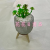 Artificial/Fake Flower Bonsai Cement Tripod Basin Variety of Succulent Decorations