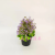 Artificial/Fake Flower Bonsai Greenery Decoration Decorations Campus Company Hotel Hall, Etc.