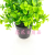 Artificial/Fake Flower Bonsai Plastic Basin Plastic Green Plant Decorations