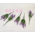 Artificial Flower Artificial Flower Bonsai Single 7-Fork Lavender Wall Hanging Vase and Other Decorations