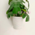 Artificial/Fake Flower Bonsai Plastic Basin Green Plant Leaves Furnishings Ornaments